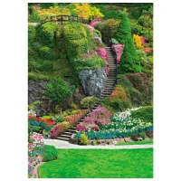 Обои DECOCODE 21-0218-PG Зеленый / Природа