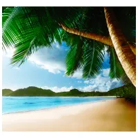 Обои DECOCODE 31-0115-PG Зеленый / Природа