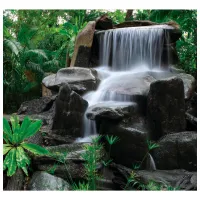 Обои DECOCODE 31-0041-PE Зеленый / Природа