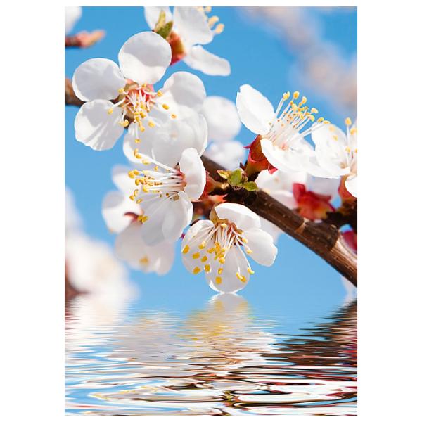 Tapete DECOCODE 31-0017-FL White / Flori photo 1