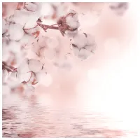 Обои DECOCODE 22-0003-FE Белый / Цветы