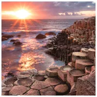 Tapete DECOCODE 22-0004-ME Multicolor / Natură