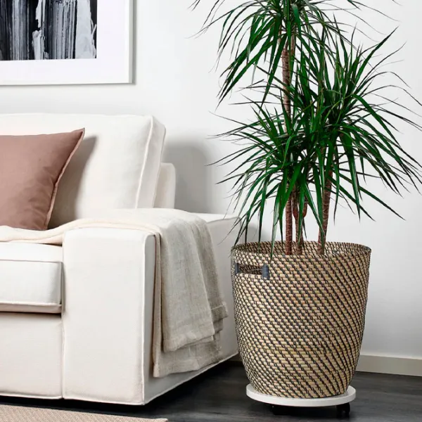 Горшок для цветов Ikea Ragkorn Бежевый / Пластик / На полу photo 5