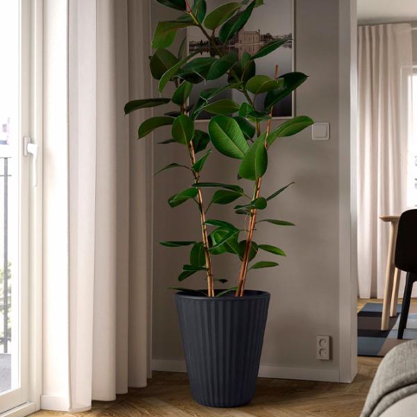 Ghiveci pentru flori Ikea Bjornbambu Black / Plastic / Pe podea photo 2