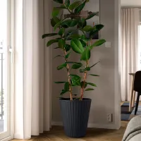 Горшок для цветов Ikea Bjornbambu Черный / Пластик / На полу photo 3