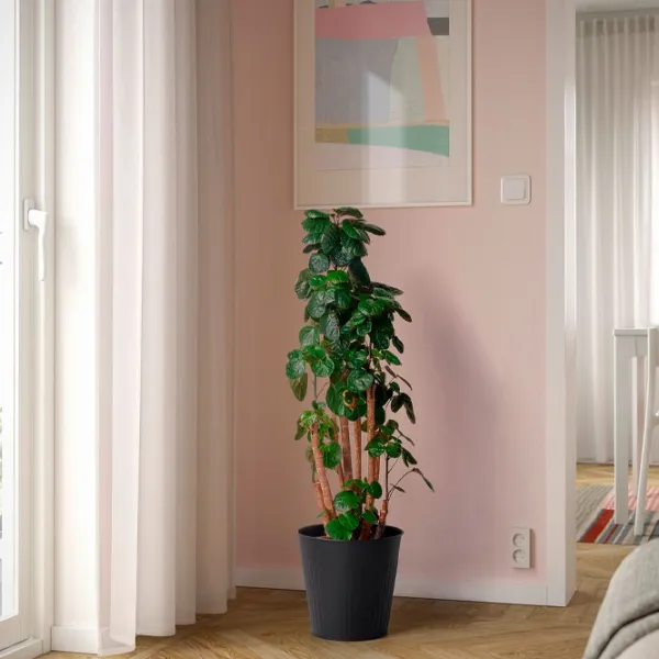 Ghiveci pentru flori Ikea Citronmeliss Black / Plastic / Pe podea photo 3