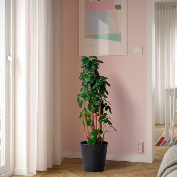 Ghiveci pentru flori Ikea Citronmeliss Black / Plastic / Pe podea photo 3