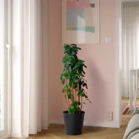 Ghiveci pentru flori Ikea Citronmeliss Black / Plastic / Pe podea photo 3