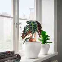 Ghiveci pentru flori Ikea Ambraronn White / Plastic / Pe podea photo 2