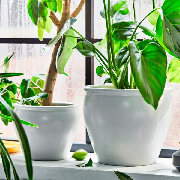 Ghiveci pentru flori Ikea Ambraronn White / Plastic / Pe podea photo 3