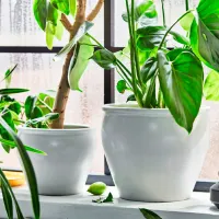 Ghiveci pentru flori Ikea Ambraronn White / Plastic / Pe podea photo 3