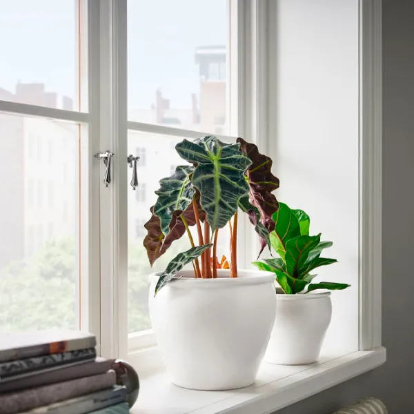 Ghiveci pentru flori Ikea Ambraronn White / Plastic / Pe podea photo 2