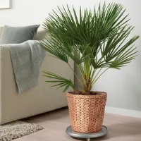 Ghiveci pentru flori Ikea Fridfull Brown / Plastic / Pe podea photo 3