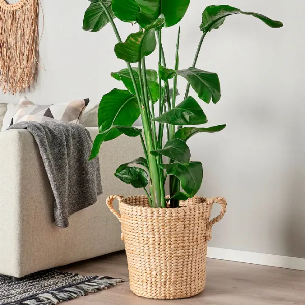 Ghiveci pentru flori Ikea Tornbar Beige / Plastic / Pe podea photo 3