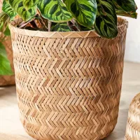 Ghiveci pentru flori Ikea Klynnon Beige / Bambus / Pe podea photo 4