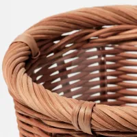 Ghiveci pentru flori Ikea Kaktusfikon Beige / Plastic / Pe podea photo 2