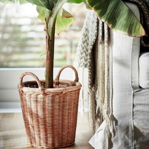 Ghiveci pentru flori Ikea Kaktusfikon Beige / Plastic / Pe podea photo 3