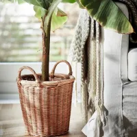 Ghiveci pentru flori Ikea Kaktusfikon Beige / Plastic / Pe podea photo 3