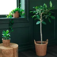 Ghiveci pentru flori Ikea Kaktusfikon Beige / Plastic / Pe podea photo 4
