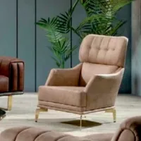 Fotoliu Dizayno Home Class Beige Beige