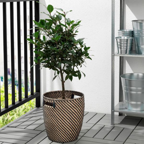 Ghiveci pentru flori Ikea Ragkorn Beige / Plastic / Pe podea photo 3