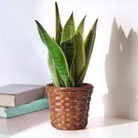Ghiveci pentru flori Ikea Klibbal Brown / Bambus / Pe podea photo 3