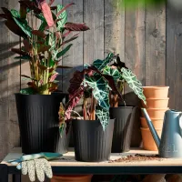 Ghiveci pentru flori Ikea Citronmeliss Black / Metal / Pe podea photo 2