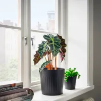 Ghiveci pentru flori Ikea Citronmeliss Black / Metal / Pe podea photo 3