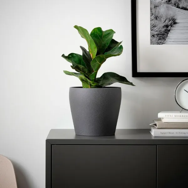 Горшок для цветов Ikea Persillade Черный / Керамика / На подоконник photo 2