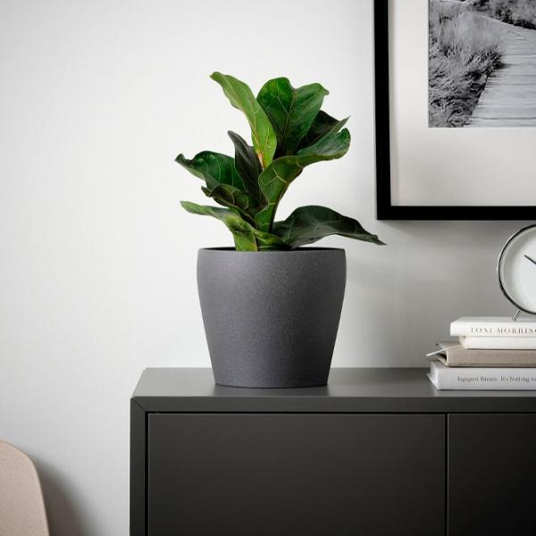 Горшок для цветов Ikea Persillade Черный / Керамика / На подоконник photo 2