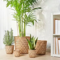 Горшок для цветов Ikea Klynnon Бежевый / Бамбуc / На полу photo 4