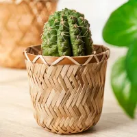 Ghiveci pentru flori Ikea Klynnon Beige / Bambus / Pe podea photo 2