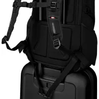 Rucsac pentru laptop Victorinox Altmont Original Deluxe 17" / Gray Black / 28l photo 6