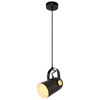 Люстра Ozcan 5019-1A 27 Вт / 1 цоколь - E27