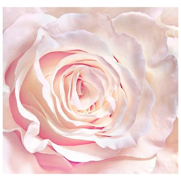 Tapete DECOCODE 015-26-DE Pink / Flori photo 1