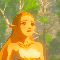 The Legend of Zelda Breath of the Wild Game for Nintendo Switch 2 photo 2