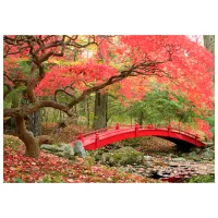 Обои DECOCODE 41-0219-PR Красный / Природа