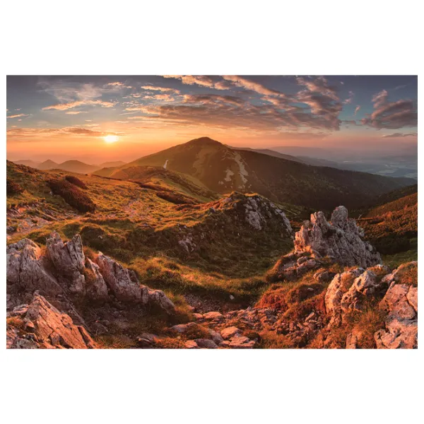 Tapete DECOCODE 32-0008-PE Multicolor / Natură photo 1