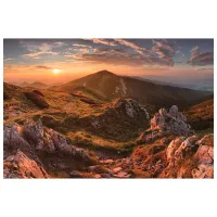 Обои DECOCODE 32-0008-PE Разноцветный / Природа