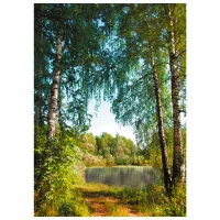 Обои DECOCODE 21-0260-PG Зеленый / Природа