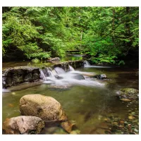 Tapete DECOCODE 31-0043-PG Green / Natură