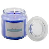 Lumânare Soling ART. 112 Delicate Moss / Ceară