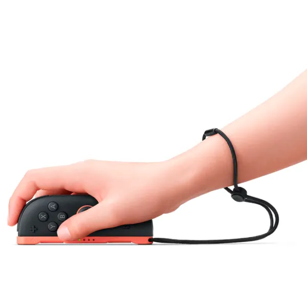 Контроллер Nintendo Joy-Con 2 Беспроводные / 17 buttons / Черный photo 7
