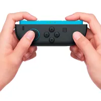 Контроллер Nintendo Joy-Con 2 Беспроводные / 17 buttons / Черный photo 11