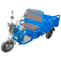 Трицикл электро Dakard DKD L2E-U Синий / 40 км