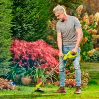 Motocoasă Ryobi RY18LT23A-120 / Green photo 5