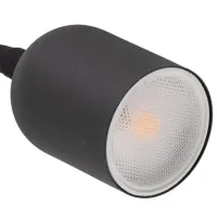 Нaстольная лампа TK Lighting 4561 Черный photo 5