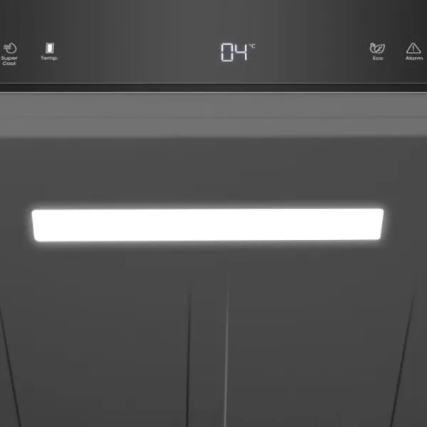Frigider Hisense RL5K370GSFC fără congelator 372 l / 185.6 cm / Black photo 13