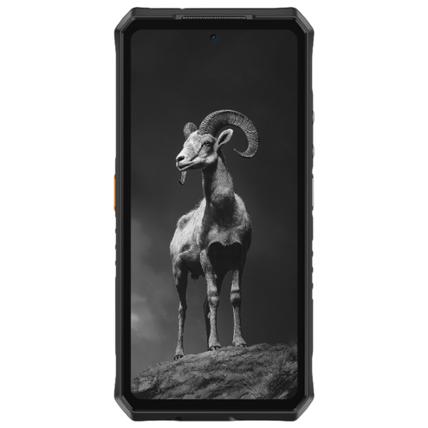 Ulefone Armor 28 Pro 16 ГБ/ 512 ГБ/ Dual SIM/ Черный  photo 4