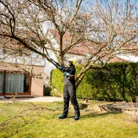 Bară pentru fierăstrău Metabo MA-MS 25 photo 3